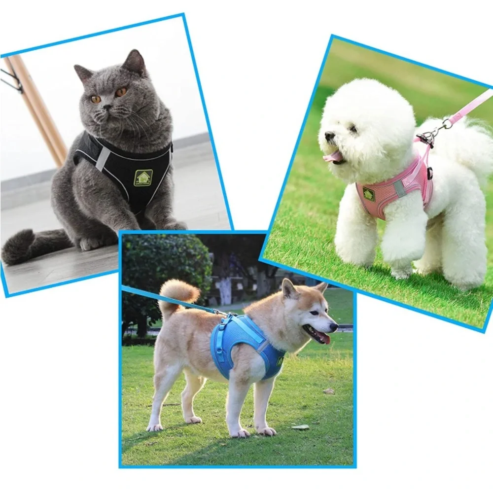🆕 Love Has support pink pet harness & bow tie 630